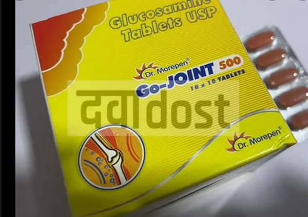 Go Joint 500mg Tablet