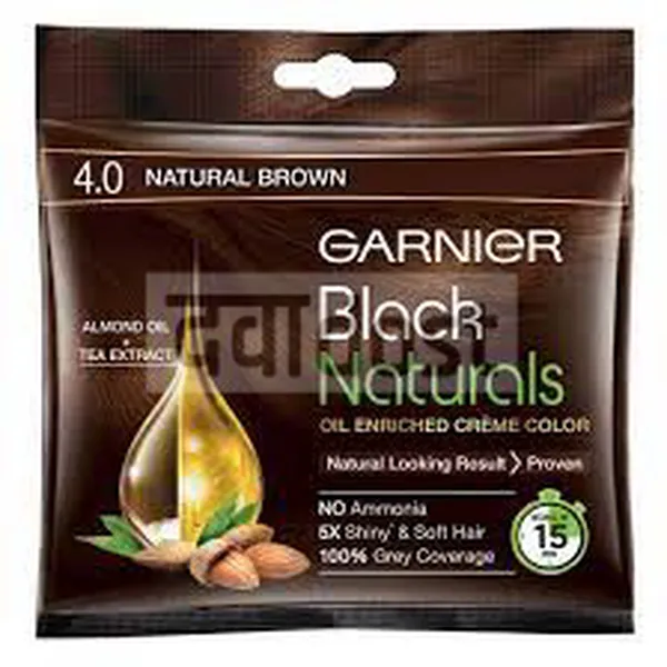 Garnier Black Natural 4 Natural Brown Color Pouch 1s