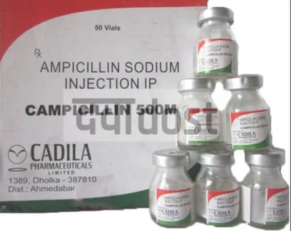 Campicillin 500Mg Injection 1s