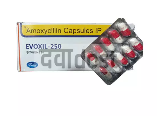 Evoxil 250mg Capsule