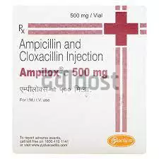 Ampilox C 500 mg/500 mg Injection 1s