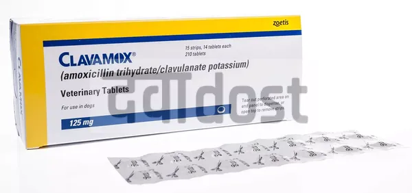 Clavamox 500mg/125mg Tablet