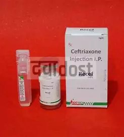 Recef 500mg Injection