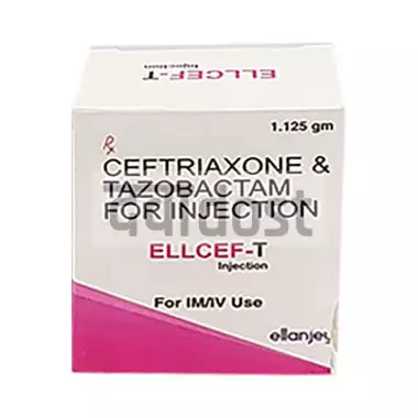 Ellcef-T Injection