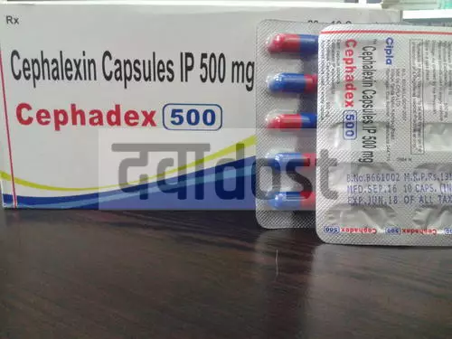 Cephadex 500 Capsule