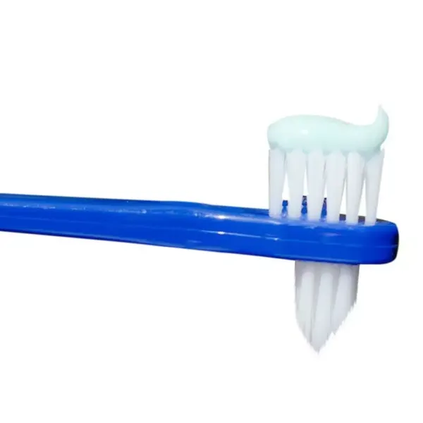 STIM T/BRUSH DENTURE 1PC