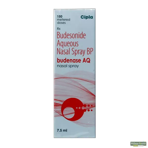 BUDENASE-AQ N/SPRAY