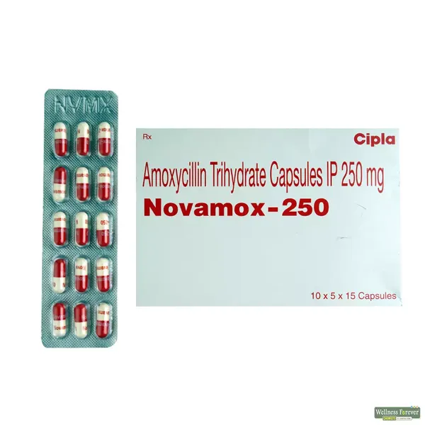 NOVAMOX 250MG 15CAP