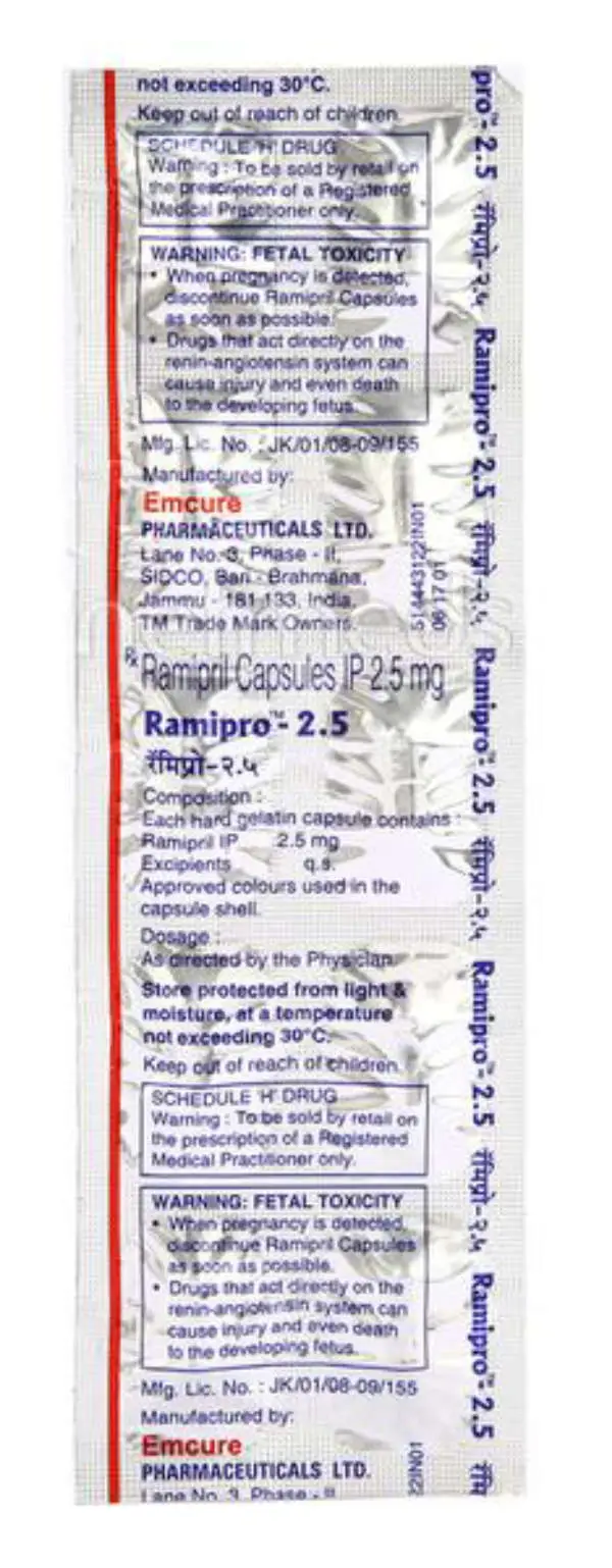 Ramipro 2.5 Capsule