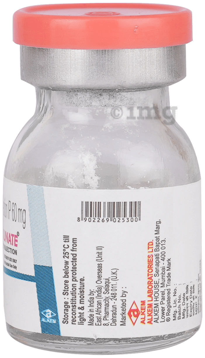 Chinsunate 60mg Injection