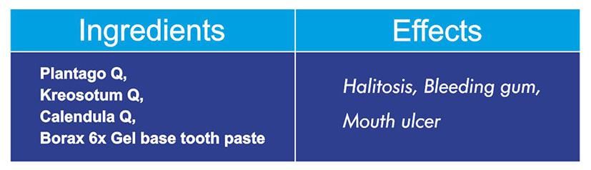 Fourrts Gum Forte Gel Homoeopathic Toothpaste