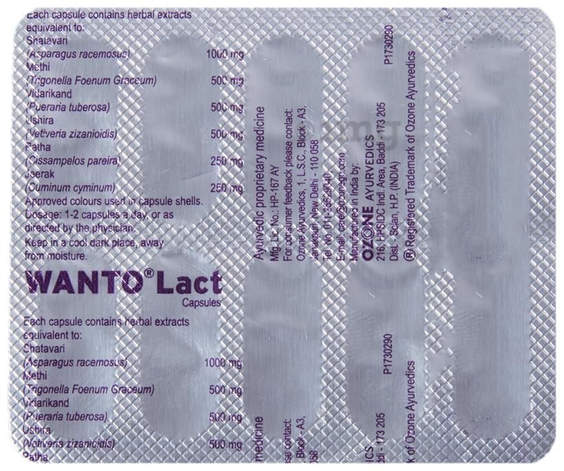 Wanto Lact Capsule