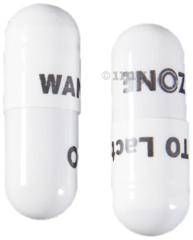 Wanto Lact Capsule