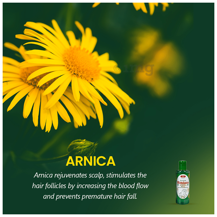 Sunny Herbals Arnica Montana Hair Oil