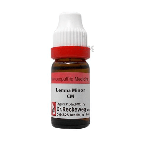 Dr. Reckeweg Lemna Minor Dilution CM CH