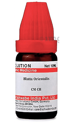 Dr Willmar Schwabe India Blatta Orientalis Dilution CM CH