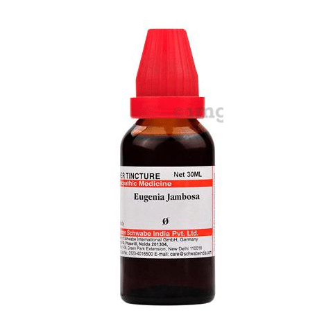 Dr Willmar Schwabe India Eugenia Jambosa Mother Tincture Q