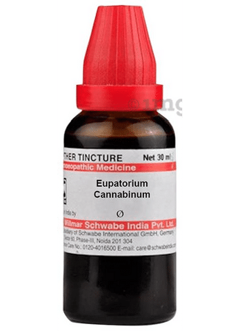 Dr Willmar Schwabe India Eupatorium Cannabinum Mother Tincture Q