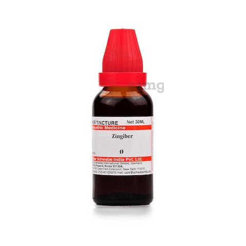 Dr Willmar Schwabe India Zingiber Mother Tincture Q