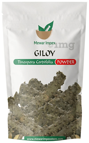 Mewar Impex Giloy Powder