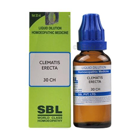 SBL Clematis Erecta Dilution 30 CH