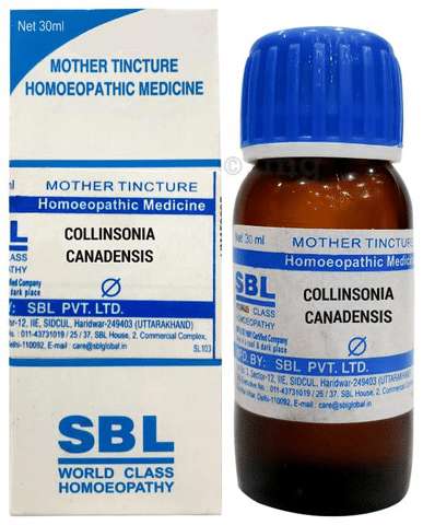 SBL Collinsonia Canadensis Mother Tincture Q