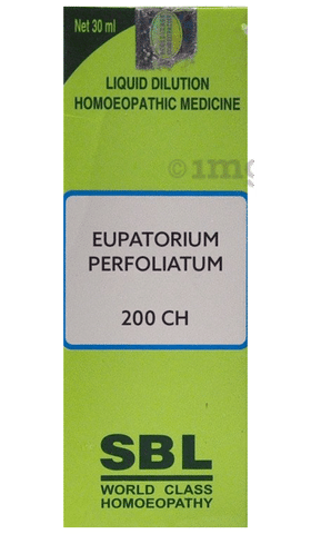 SBL Eupatorium Perfoliatum Dilution 200 CH