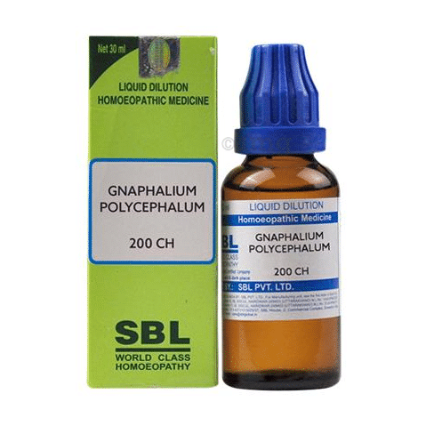 SBL Gnaphalium Polycephalum Dilution 200 CH