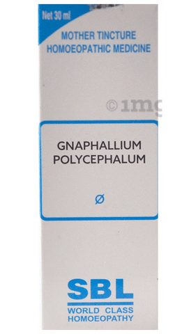 SBL Gnaphalium Polycephalum Mother Tincture Q