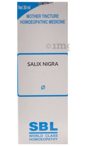 SBL Salix Nigra Mother Tincture Q