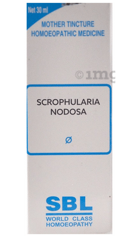 SBL Scrophularia Nodosa Mother Tincture Q