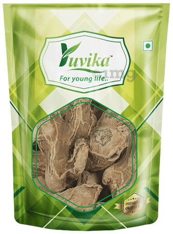 Yuvika Sonth - Zingiber Officinale - Dry Ginger